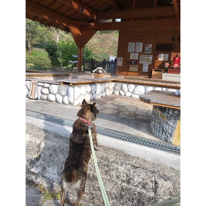 0d089403 a7f3 4f20 8fc5 6a44e0174608 1556870425057