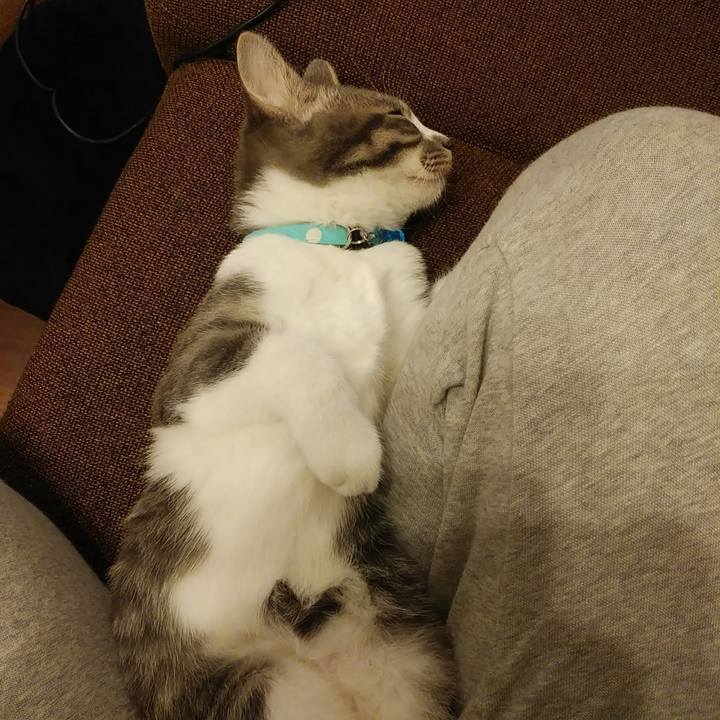 0d08d3f1 65b1 46c8 be65 3d7fa60233be 1597816626986