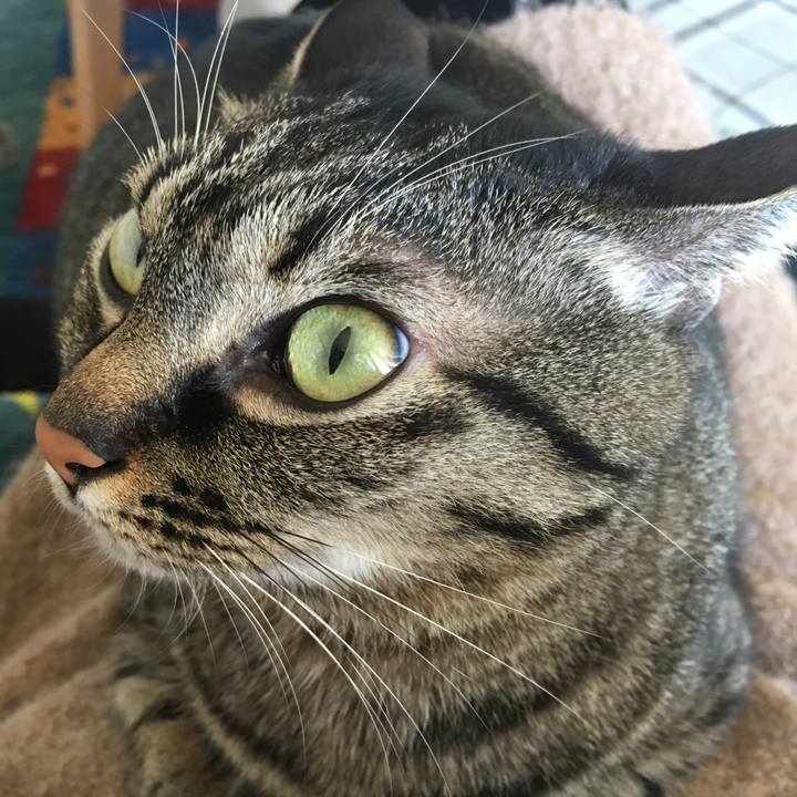 0d091049 7ddb 4a5a b8d5 9cb25c71adbc 1547434695442