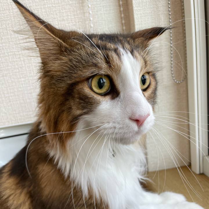 0d0911f8 6154 4b47 9ddb 6e994bd8d82d 1663377771011