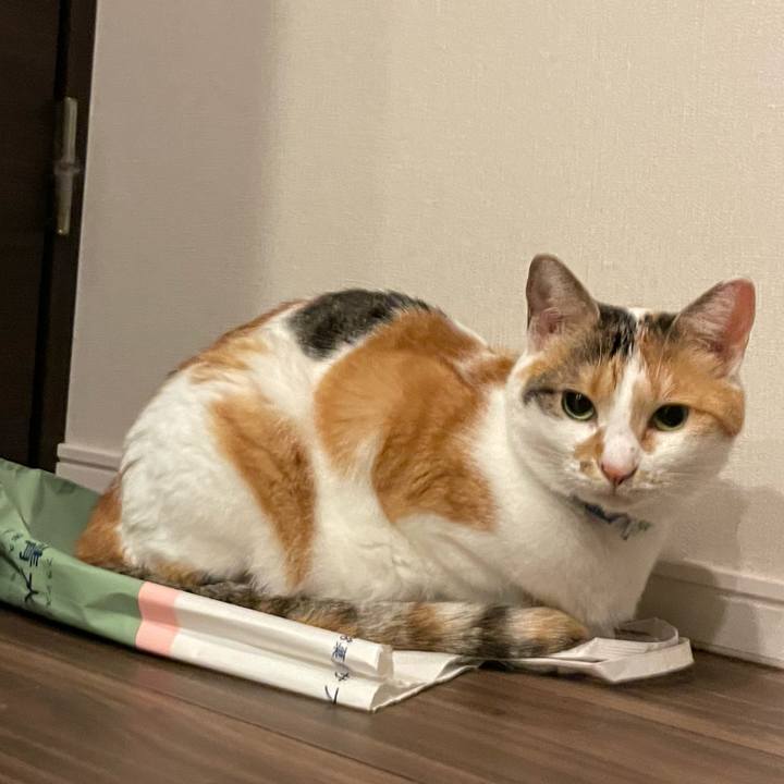 0d091a31 2158 4439 b3f8 92a7c88c901b 1692881926432