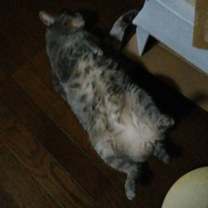 0d092466 06e3 4d82 b737 5e30b9c78c7c 1566814651983