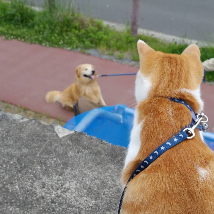 0d096e4c a1a3 41f6 a4a5 9261c2537abb 1526119785491