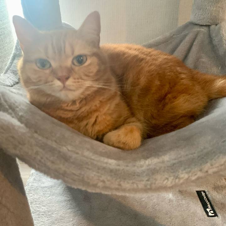 0d099295 82ca 496a b54d bb8aec7e7255 1664075512426