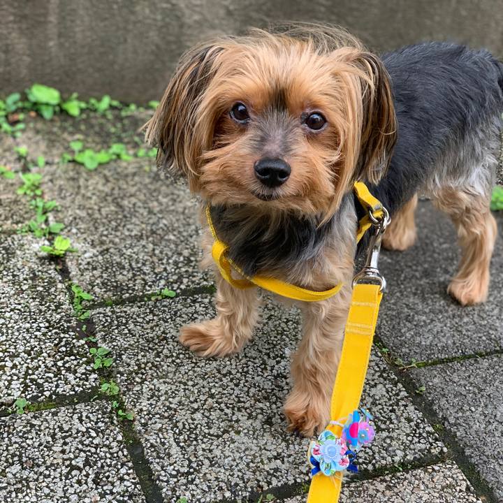 0d099d4f 3756 49cf acd1 17f6aa9f2164 1594193422985