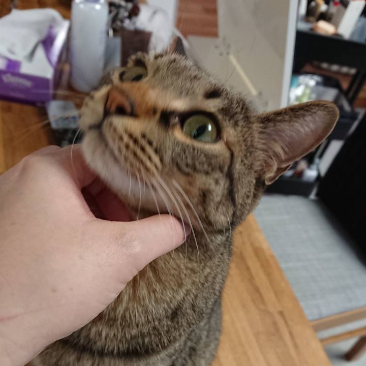 0d09a12d d4c5 4019 b378 255c63075c42 1518754277011