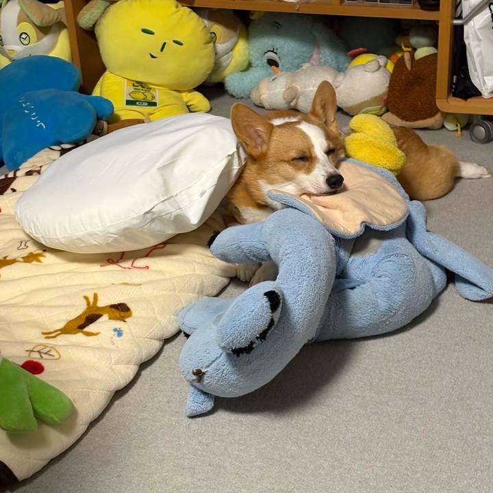 0d09a50d 9976 4d7b afa5 f494245c1e3e 1769426177882