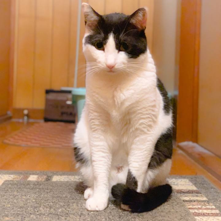 0d09ac33 113e 47b6 a91e 3309735154cf 1561687821033