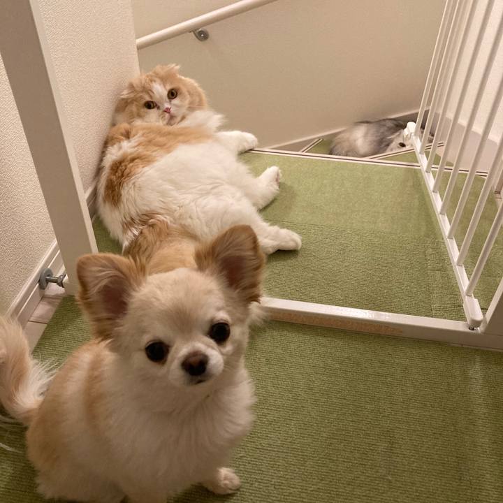 0d09f0fa 4394 4fa2 af15 70e21d7b3ff4 1647175985936