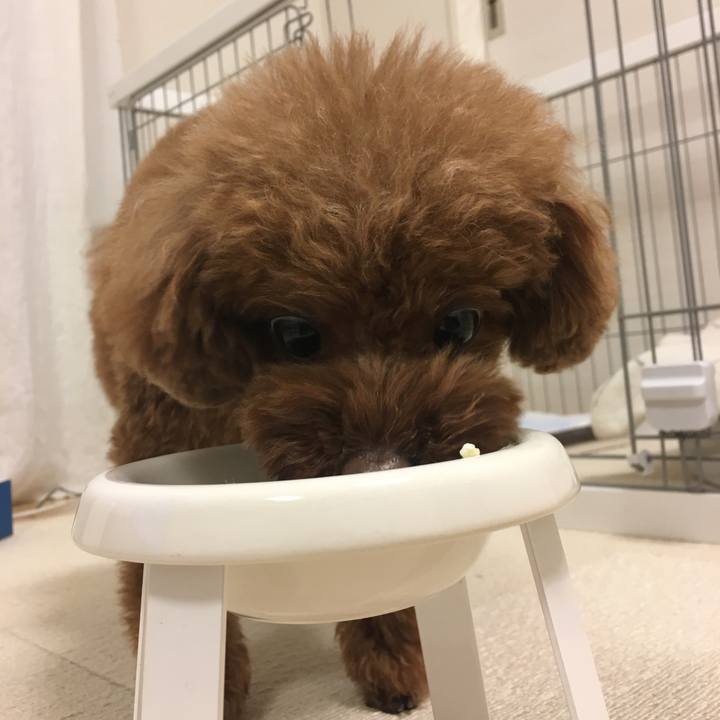 0d0a5a74 ff48 4d45 a4db 4b03a89471f5 1549965570344