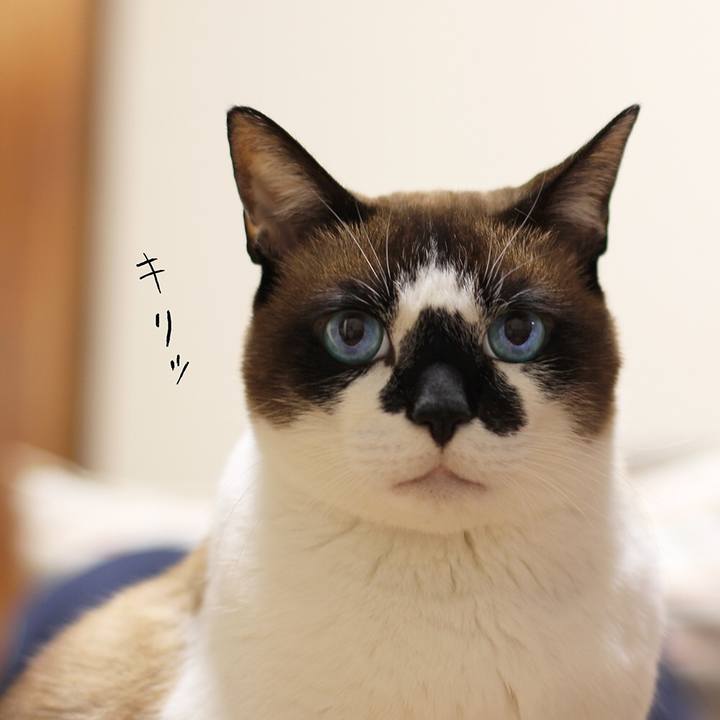 0d0a699a 191d 4163 a45e 22d26b53347b 1510311385425