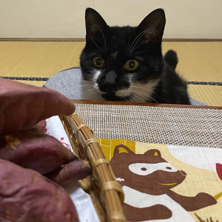 0d0aad4f 535d 4d1d adb4 b147ceb94c37 1613212920150