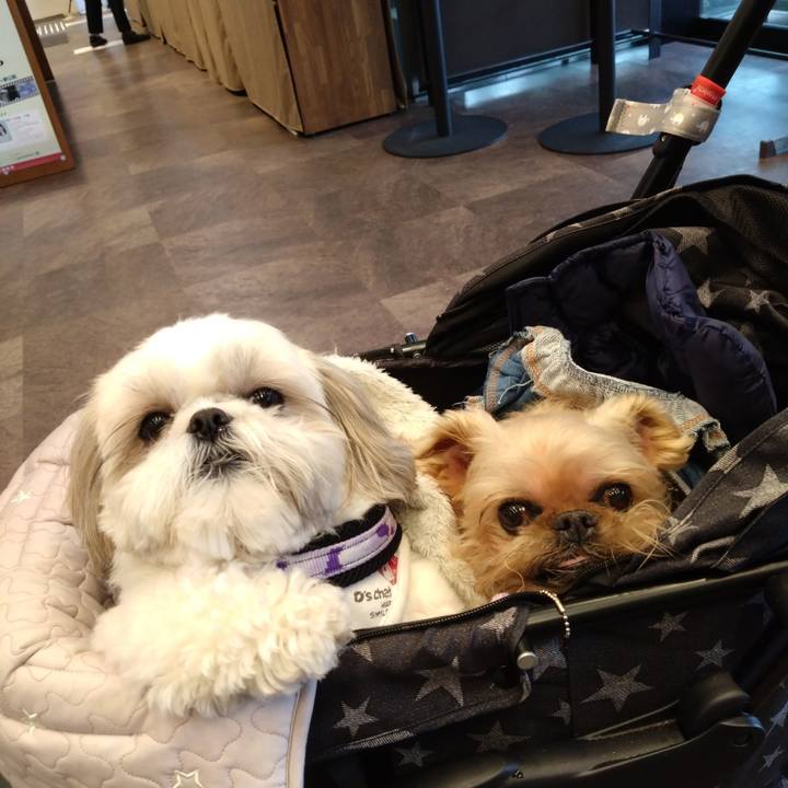 0d0ab99c 1578 48cd af1d 85850500881d 1673858984779