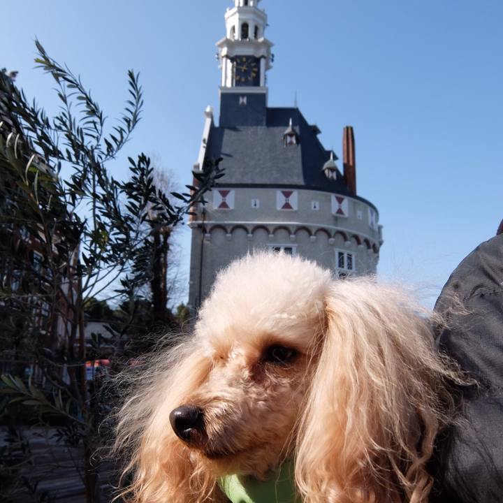 0d0abd63 e72f 4857 b0ec 099c5cd51520 1515151366476