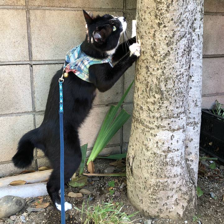 0d0ad037 9528 4e9e b25e 8099e954ffcb 1530070986976