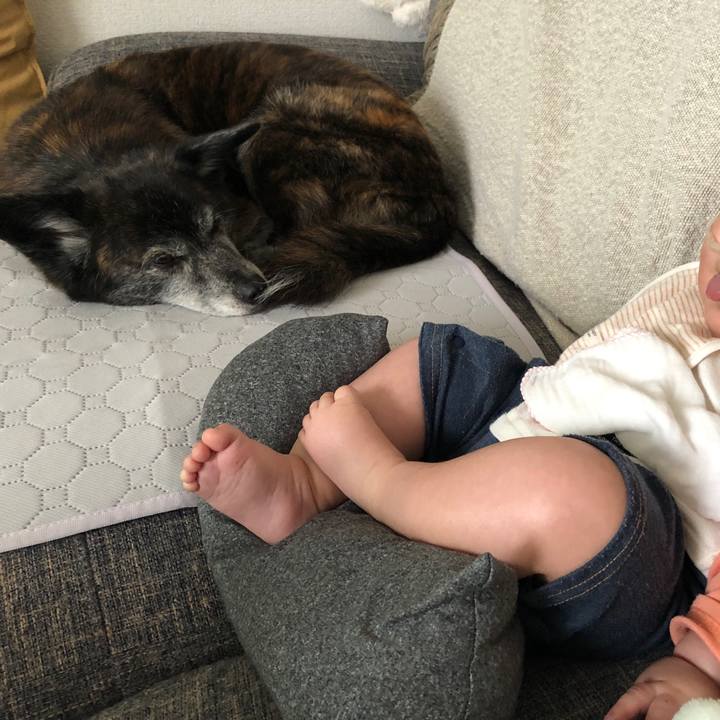 0d0afa46 91c4 4624 984e f402a6979406 1712621327092