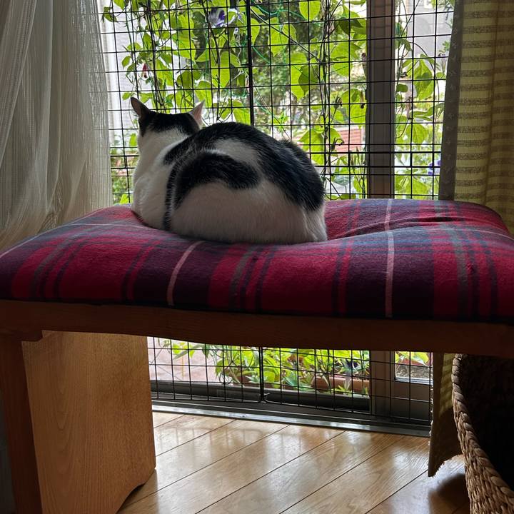 0d0b00bd 3048 4abd 87f6 3e7b2dd3f2c9 1756332934665