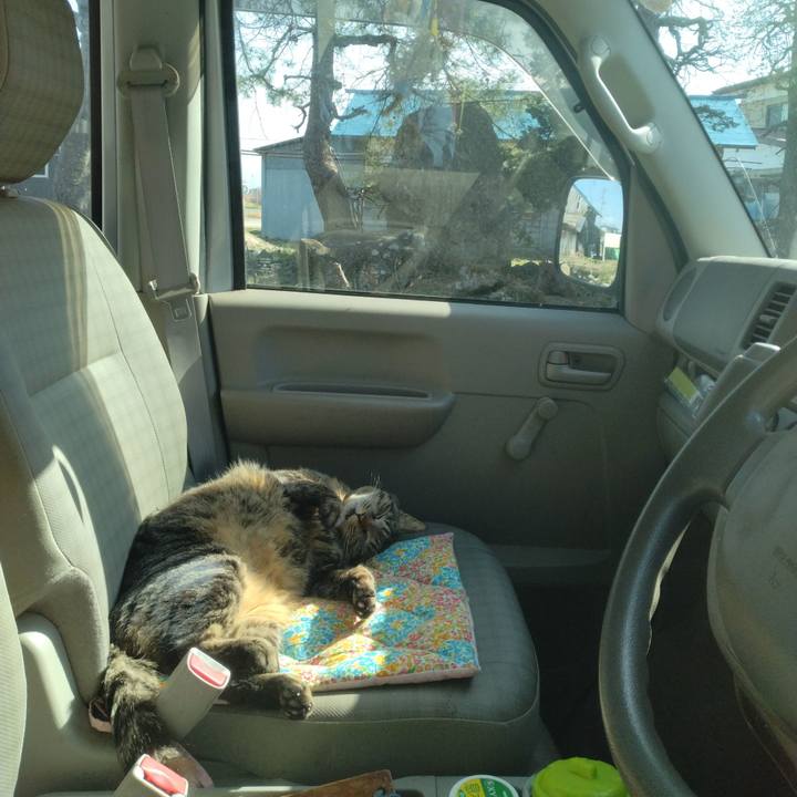 0d0b0852 0900 4356 b6c0 d08c6cba1c74 1680078160046