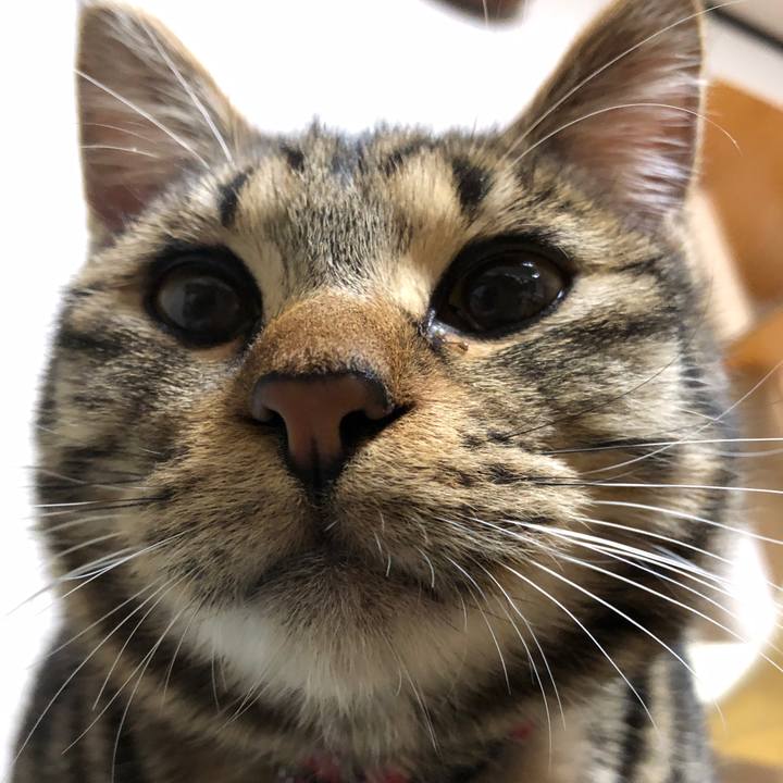 0d0b1956 0322 48bf a7b3 7907fdbddc69 1742038843576