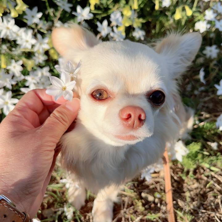 0d0b216a c5c8 4543 a6c8 f03fc87e9f69 1711099140083