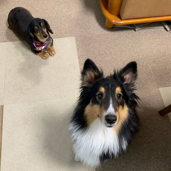 0d0b3144 0081 4ad9 9eee 478a9bce0f85 1551908995467