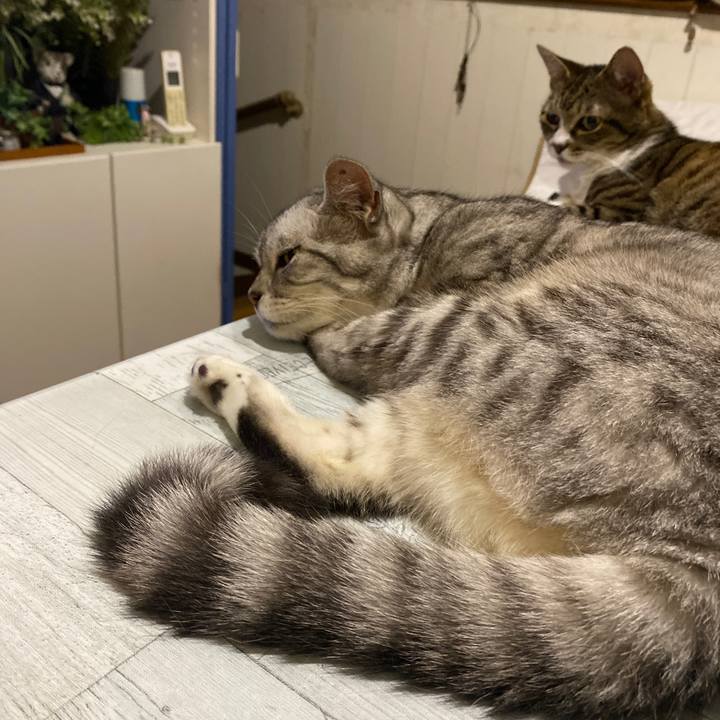 0d0b48ab 7bc2 4c4e 9360 61fcb094b069 1659369287347