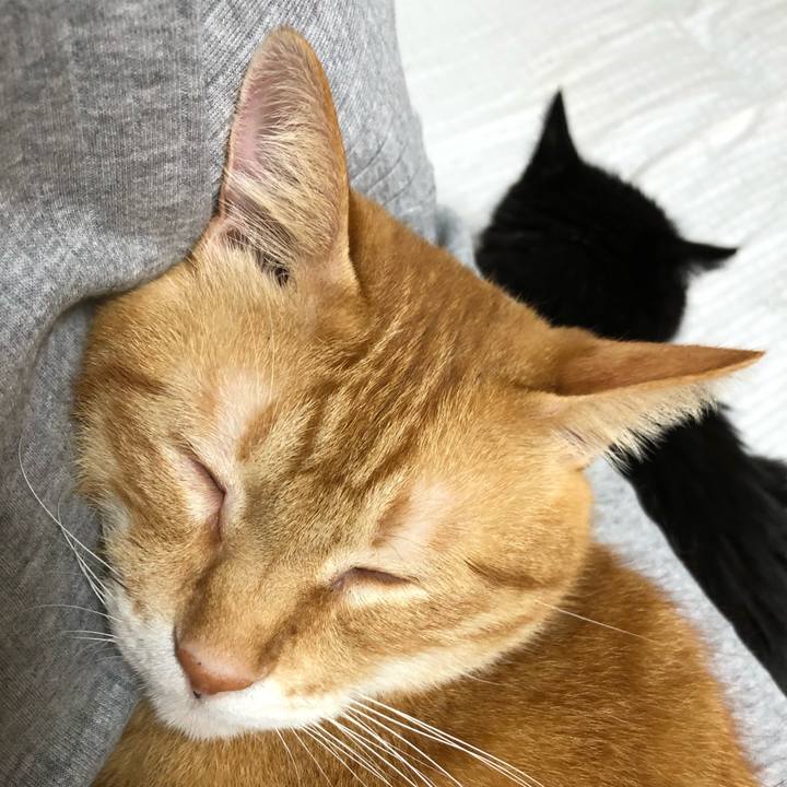 0d0b68ee ba5b 411a be63 d2fd7761a960 1630416121548