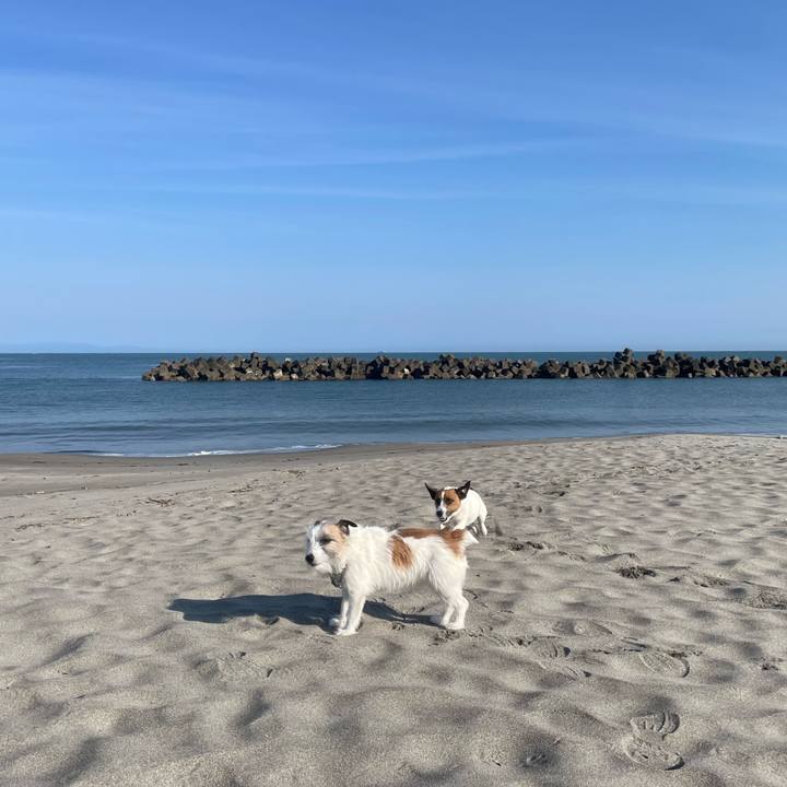 0d0bb48e a3a0 478c b316 b989708ec609 1683590853602