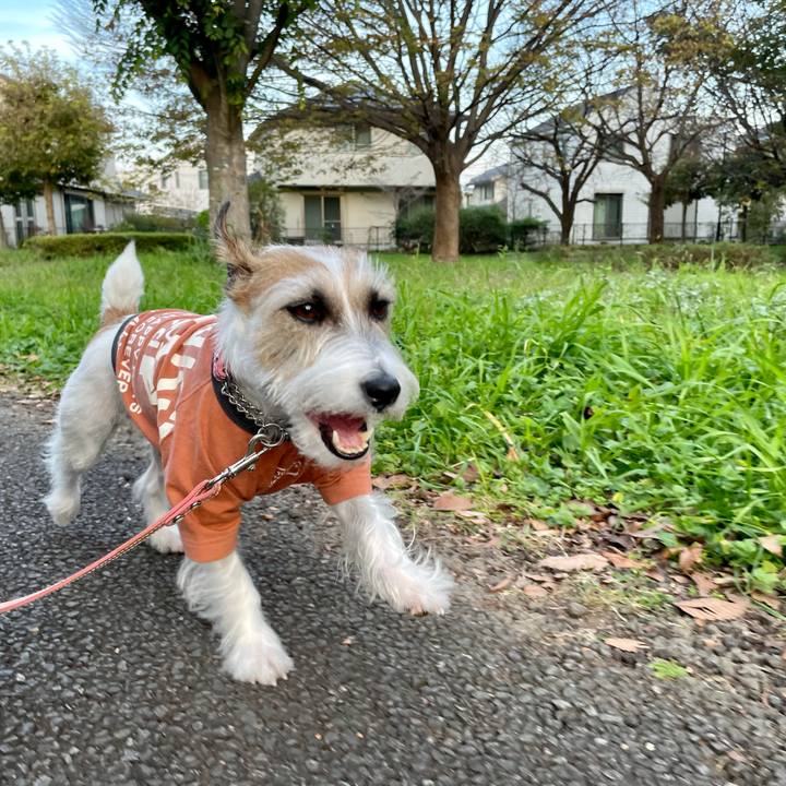 0d0c1919 cf61 48f6 b7a9 8c39cdbe2e21 1637225416202