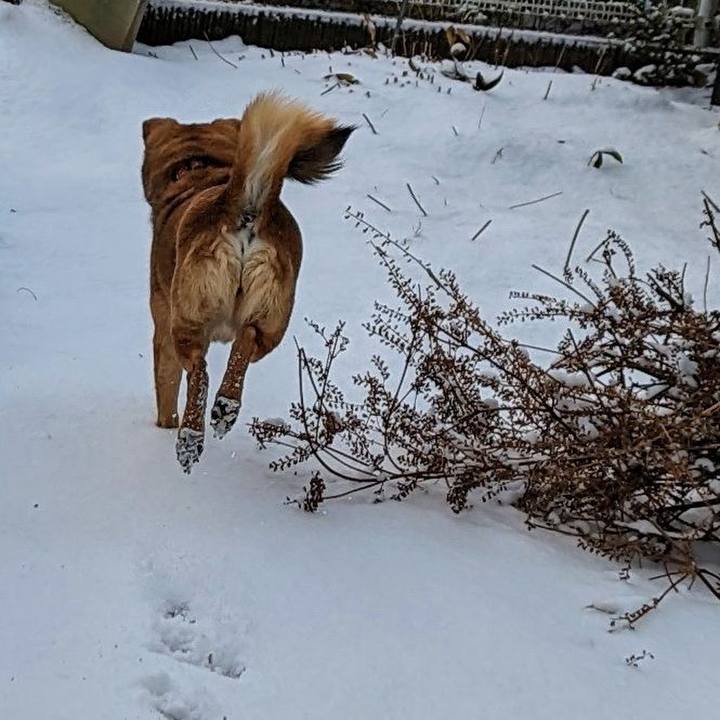 0d0c5411 5836 41a5 8d15 4e75eb1b10e9 1705413862691