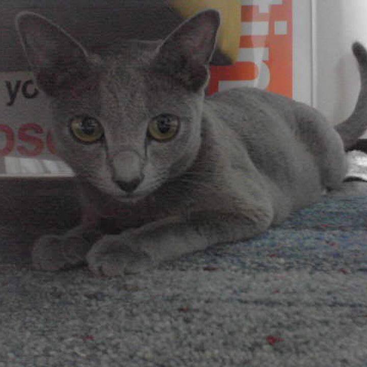 0d0d2465 a74c 44eb 86c0 ed32f24fb3c4 1551308730437