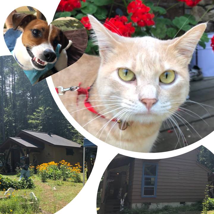 0d0d27a0 e042 4dba 8793 6fb45da5571e 1531817757380