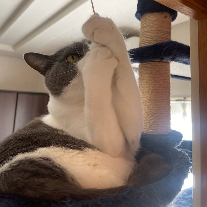 0d0d537f cc32 409a ae5b 505593939a16 1671323741877