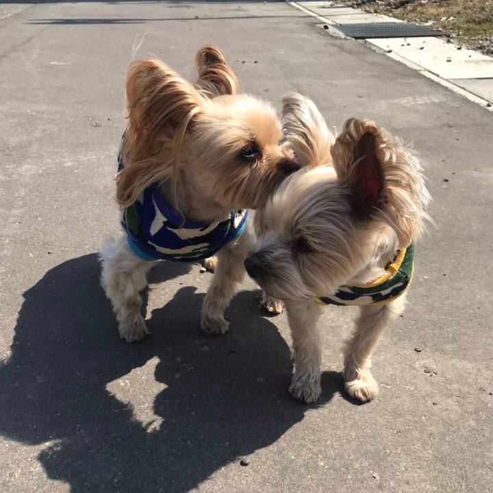 0d0db413 643e 4658 bbf1 30a5f7654c13 1585994982383