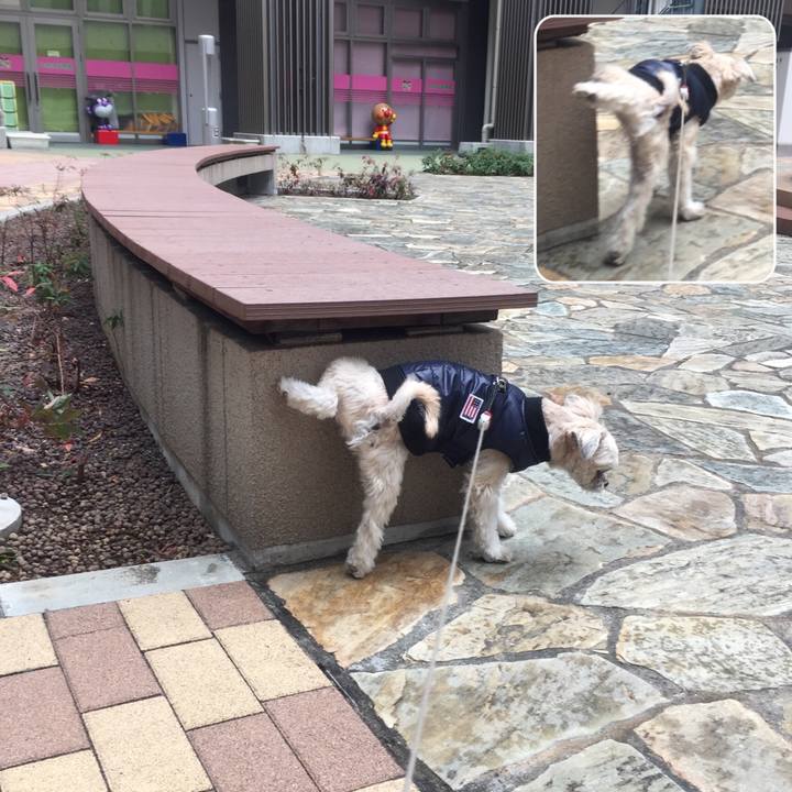 0d0dcc0e 743b 4e13 8918 0762fd58b234 1544936408626