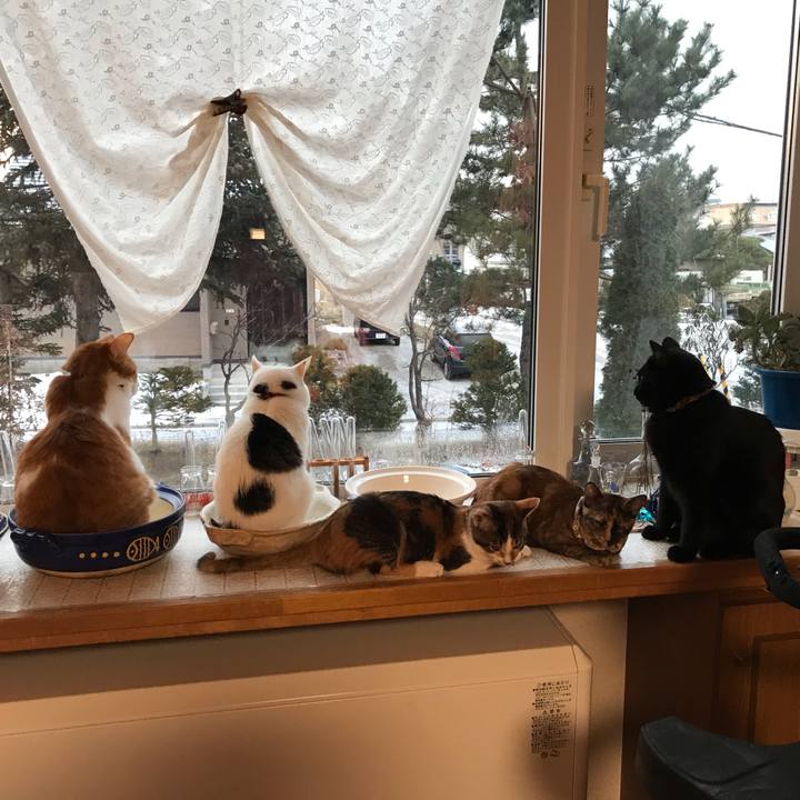 0d0e1145 b715 4e68 8570 0b8b730d7b69 1606773445145