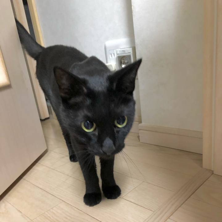 0d0e4141 0fcf 4eb7 b79c 8e87c06cee03 1628158098704