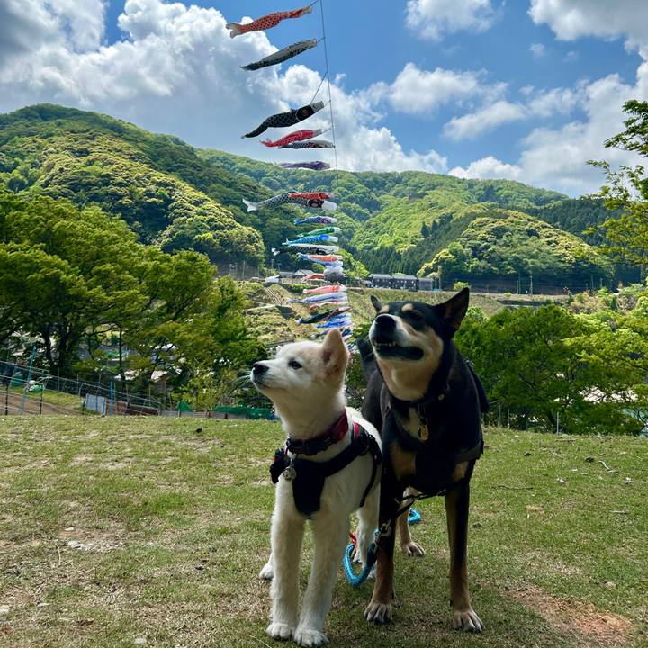 0d0e5753 fc84 4c29 a89c a57869704e75 1746530304898