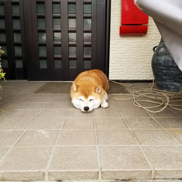 0d0e5945 c754 4bea 85ab 86c85e1e4139 1571272964235