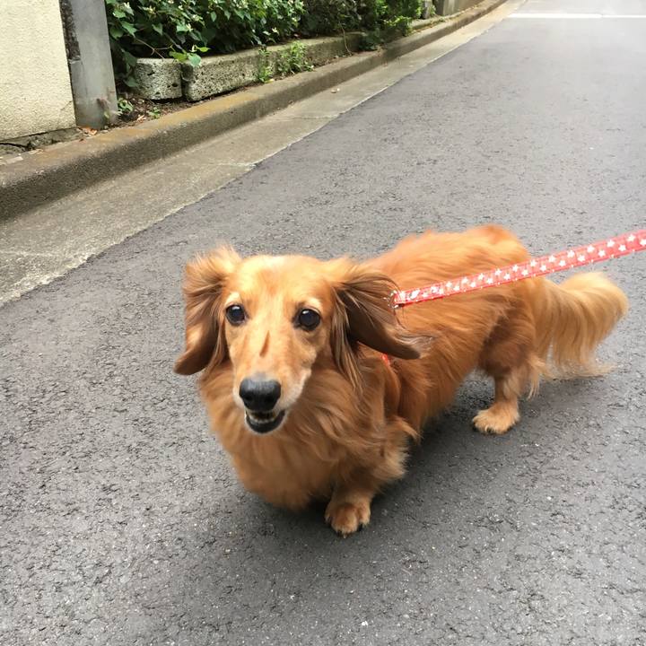 0d0e5a95 8f32 44fa b31c 7a30dc2e1627 1561287709320