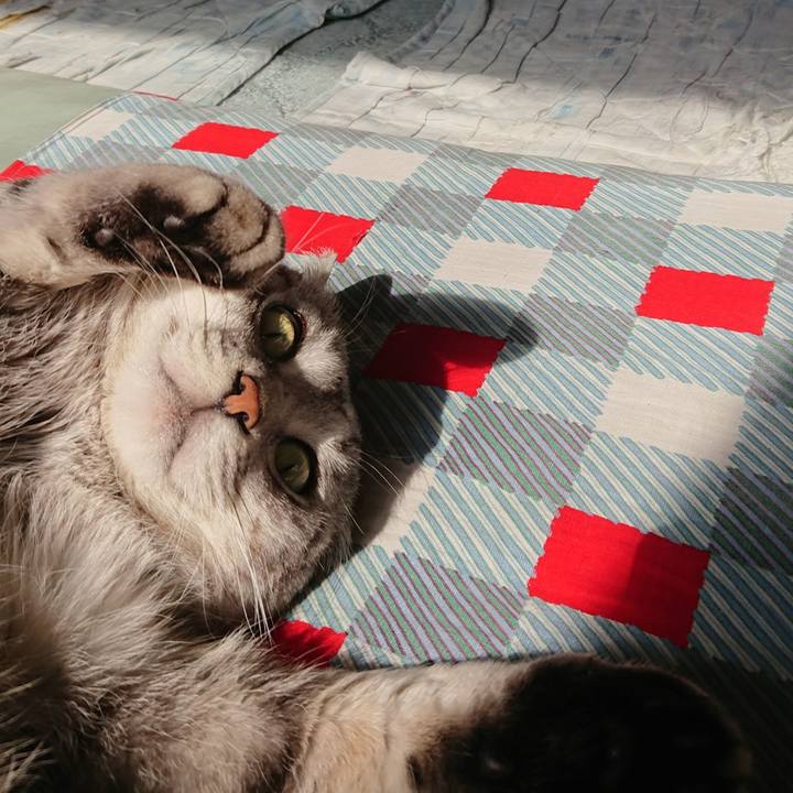 0d0e8bd3 cc1e 4df6 bf68 d01db7f8357b 1522457275438