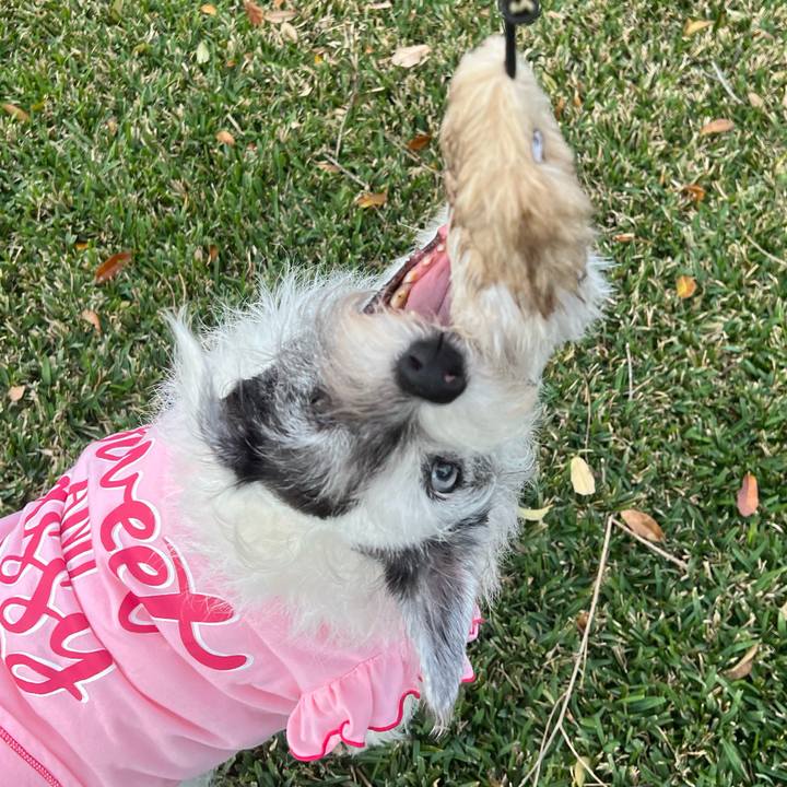 0d0ebd3e 63ba 452c a443 976e1382cbc4 1741558463799