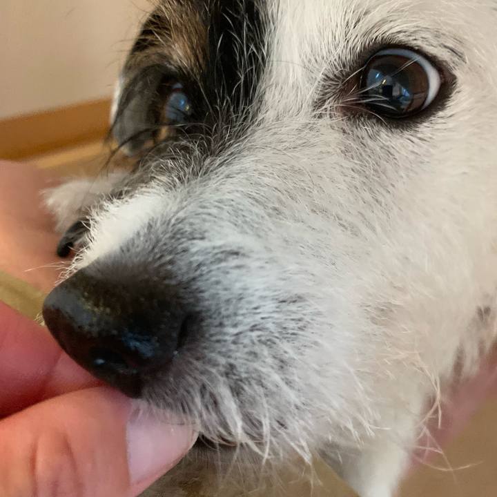 0d0ec3a1 e57d 4c6d 986c 69b61770b6d9 1654942927483