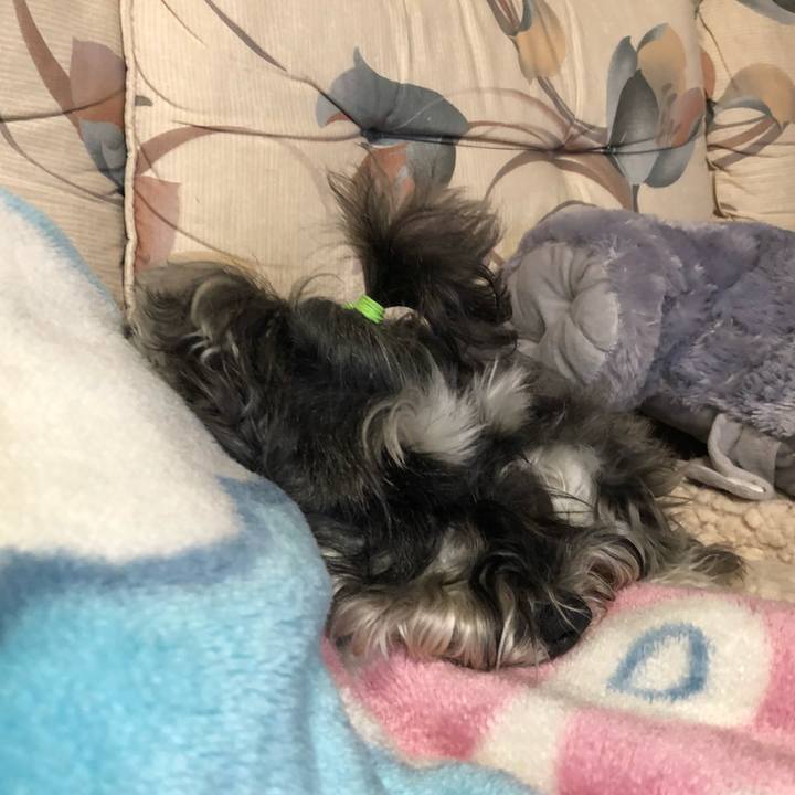 0d0ecd60 38e8 485b 857d c4a1ddf6a29f 1527988435041