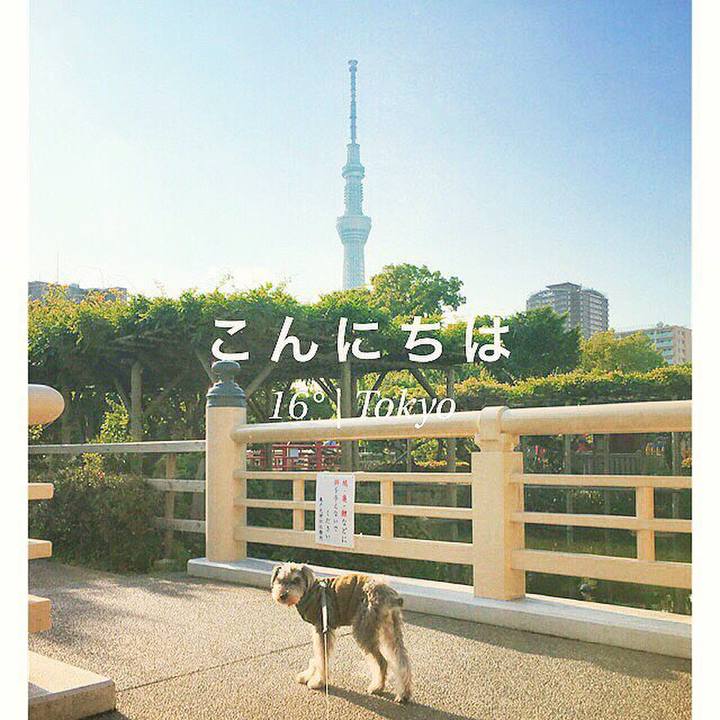 0d0f00ca 0239 471e 83af c6044cdbf9a1 1525939382385