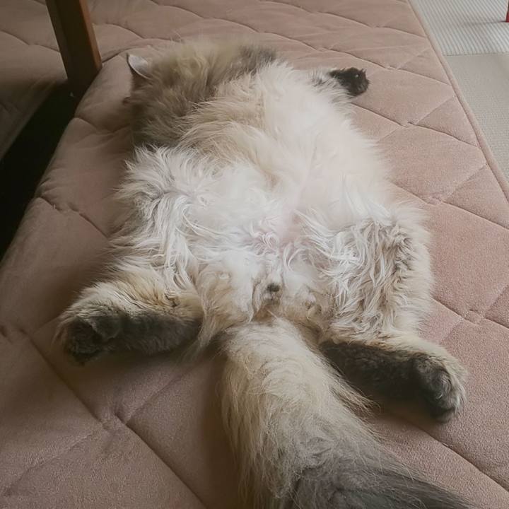 0d0f506a 106b 495c 9947 95f552ce4b34 1589756060252