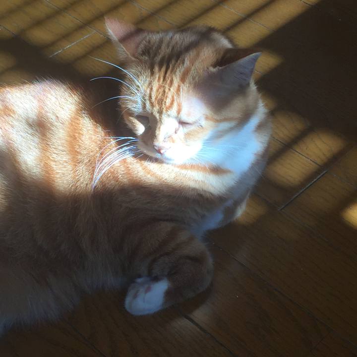 0d0f52d8 8842 466e b281 2c17da18701d 1573894781080