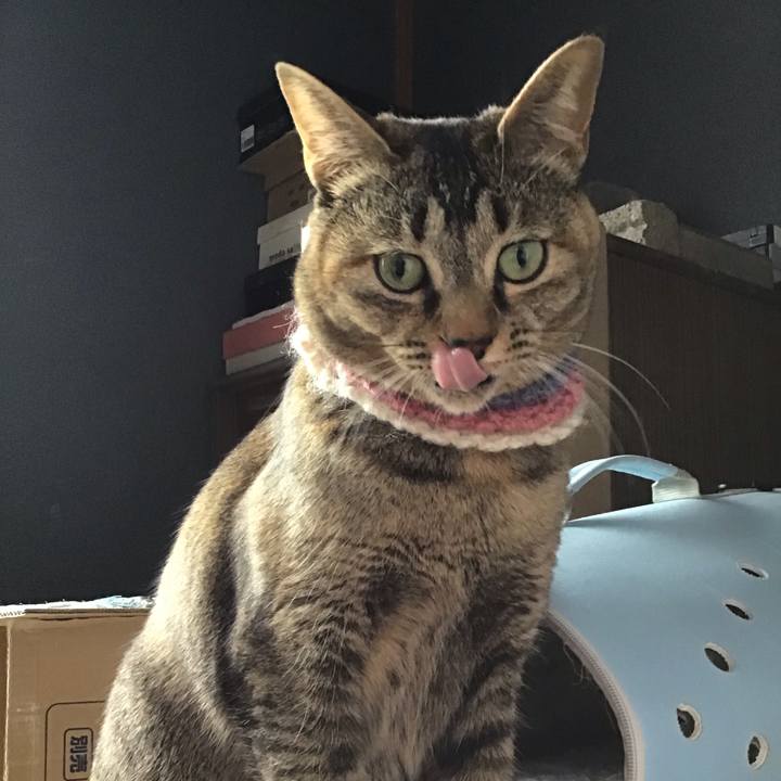 0d0fb50c 2691 4023 8e20 9d93e7a1d4ee 1618297368243