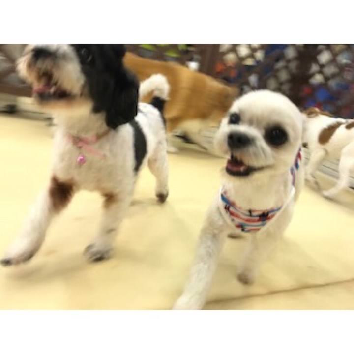 0d0fc7a1 9b42 4397 83fc ccdbf46ae02f 1531394104095