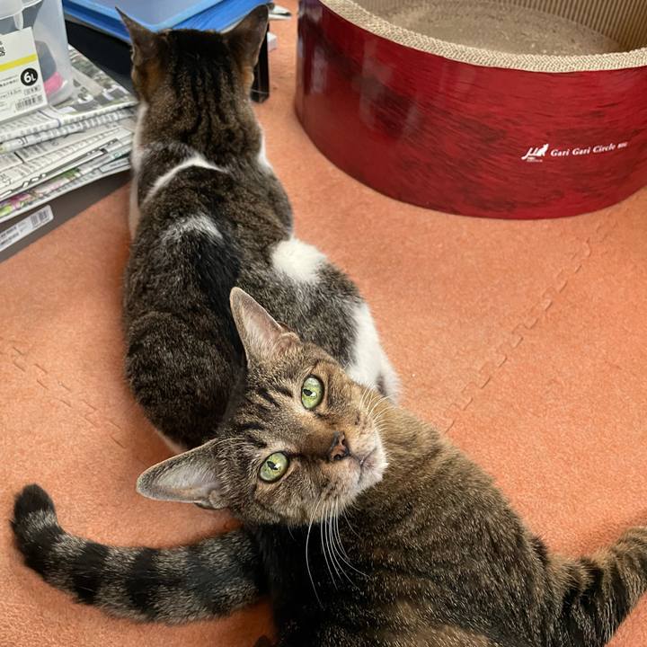 0d0fcaaf 197f 44e7 b800 a856301b555a 1624327783159